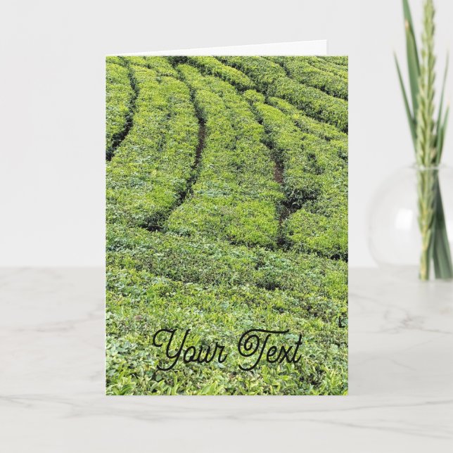 Jardines de té de Munnar en tarjeta de felicitació (Anverso)