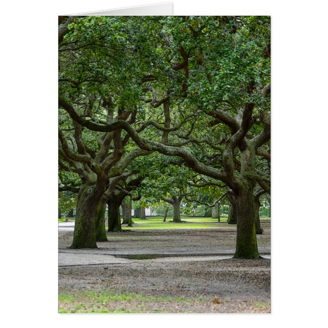 Jardines de White Point Pintoresco (Frente)
