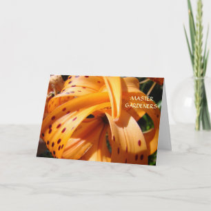 JARDINES MAESTROS Creando bellas tarjetas mundiale