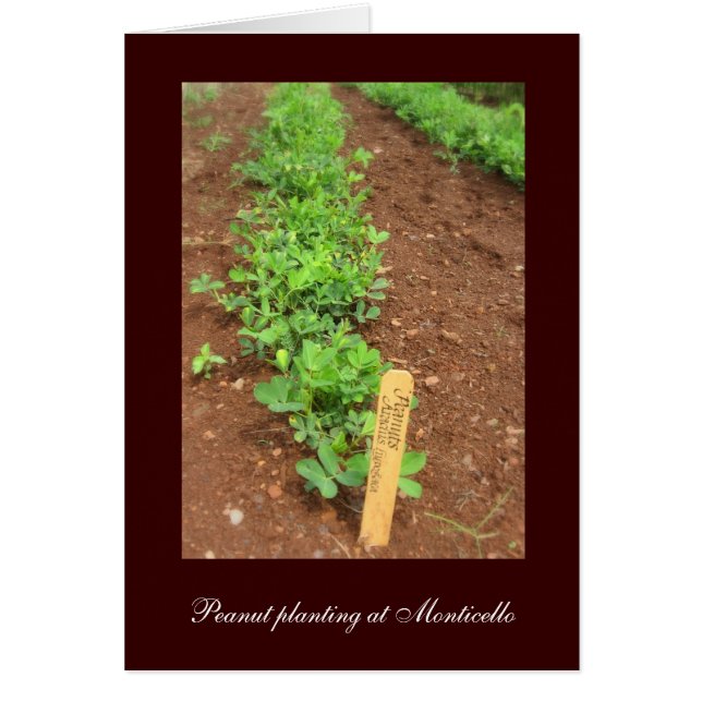 Jardines vegetales de Monticello (Frente)