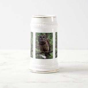 Jarra De Cerveza Lechuza Barred