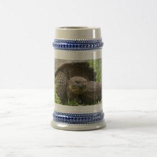 Jarra De Cerveza Tortuga gigante