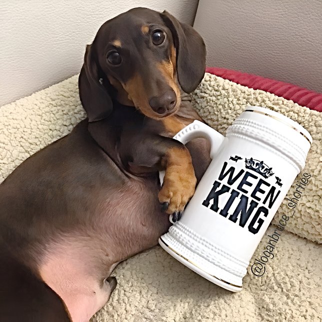 Jarra De Cerveza Ween King Dachshund Dad Stein Mug - Día del Padre (Big dachshund dad mug to show who's king of the house...or at least let the human think he is :-))