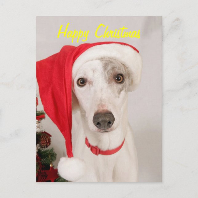 Jaspe que el navidad persigue (Anverso)