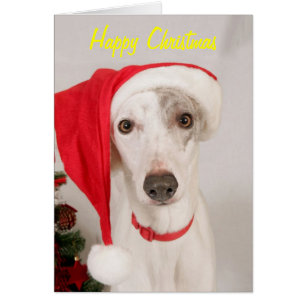 Jasper, el perro Navidad