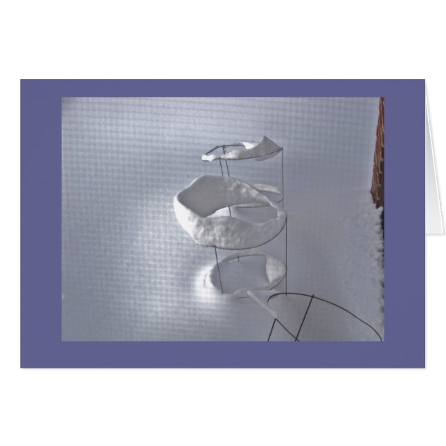 Jaula del tomate en invierno (Anverso (Horizontal))