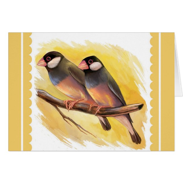 Java Sparrow busca pintura realista (Anverso (Horizontal))