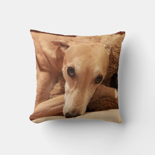 Jax en su almohada (Anverso)