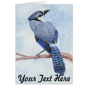 Jay azul