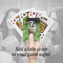 Jay azul en las cartas de juego de los Aves Aves