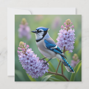 Jay azul en pie en ramas de Lilac