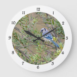 Jay azul en reloj de pared Myrtle Myrtle de Wax de