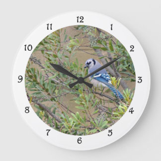 Jay azul en reloj de pared Myrtle Myrtle de Wax de