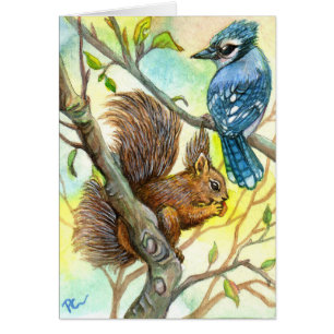 Jay Azul Y ardilla