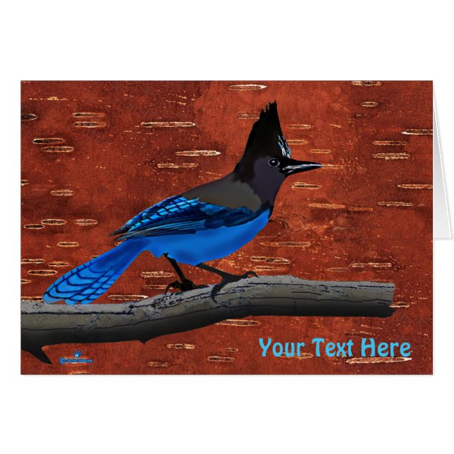 Jay On Inner Birch Bark de Steller (Anverso (Horizontal))