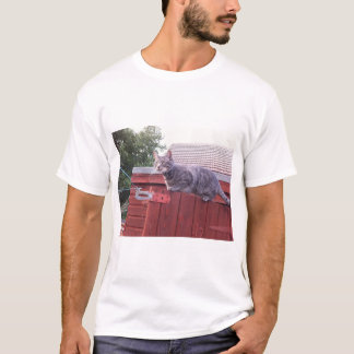 JD la camiseta del gato