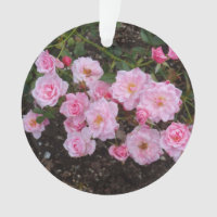 Jeanne LaJoie Rosa #1 Ornamento