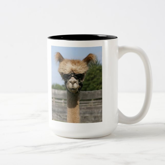 Jefe de la taza de la alpaca de la banda (Derecha)