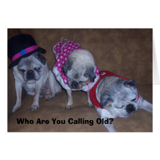 Jeff, Gina, Abuelo, A Quién Llamas...