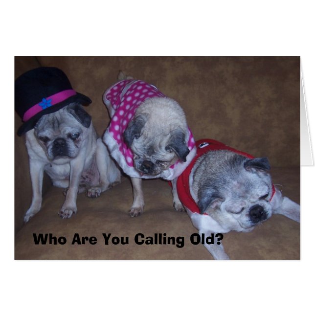 Jeff, Gina, Abuelo, A Quién Llamas... (Anverso (Horizontal))