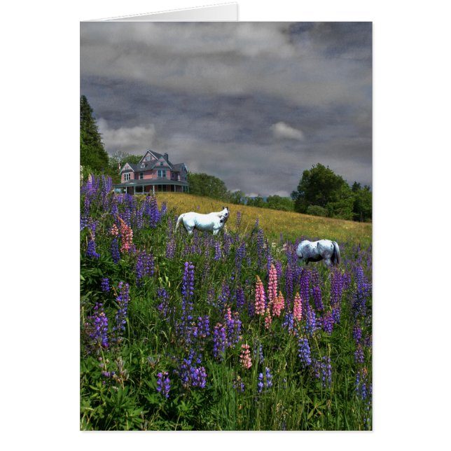 Jefferson Lupine Mindscape (Frente)