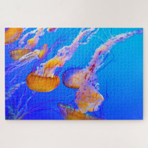 Jelly Fish Jigsaw Puzzle