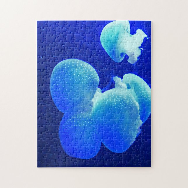 Jelly Fish. Rompecabezas (Vertical)