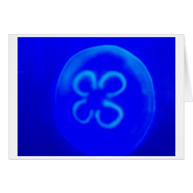 Jellyfish (Anverso (Horizontal))