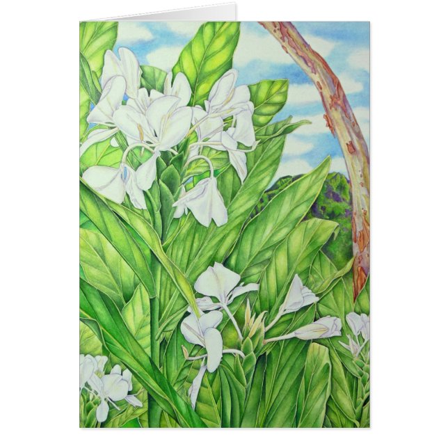 Jengibre del blanco de Tantalus (Frente)