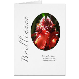 Jengibre Torched brillantez