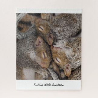 Jennifer, Sylvie y el rompecabezas Holly