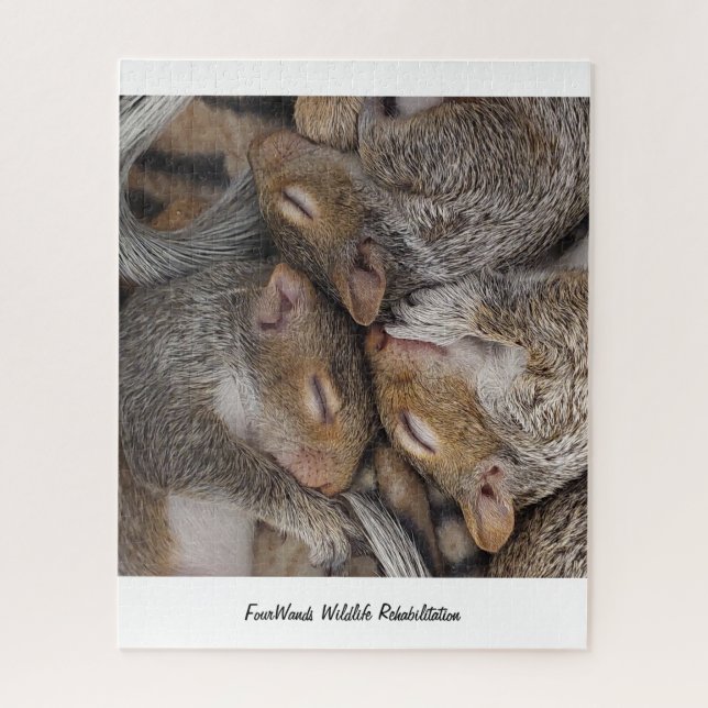 Jennifer, Sylvie y el rompecabezas Holly (Vertical)