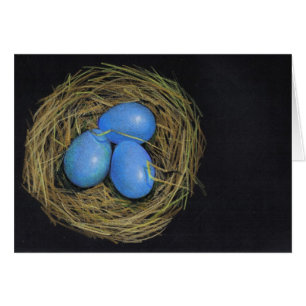 Jerarquía de los pájaros con los huevos: Añada 