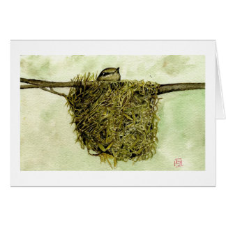 Jerarquía del Parula septentrional