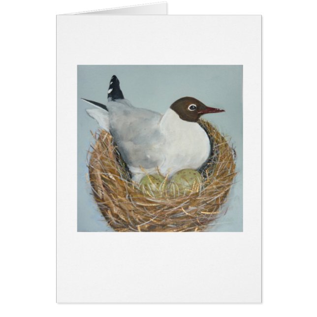 jerarquización (Frente)