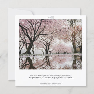 JEREMIAH 29:11 DIOS PROMETE tarjeta SCRIPIX