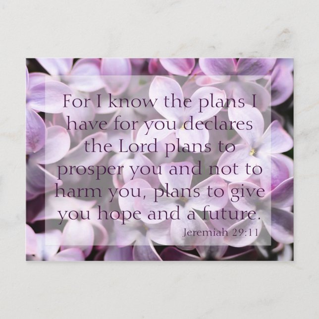 Jeremiah 29:11 Tarjeta postal Lilacs (Anverso)