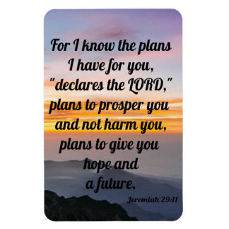 Jeremías 29:11, Refrigerador imán