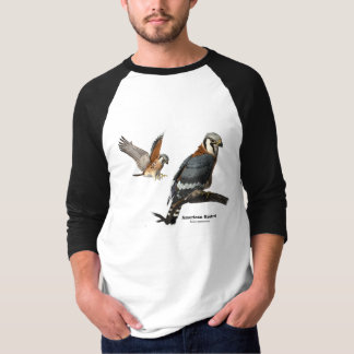 Jersey americano del cernícalo