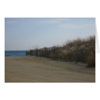 Jersey Shore * Softed Beach
