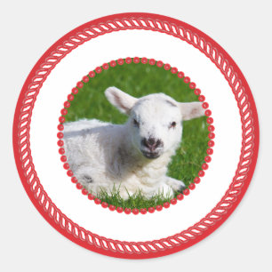 Jesse Tree Lamb Pegatina