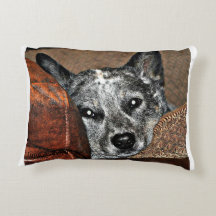 Jessie… la almohada de Tejas Heeler