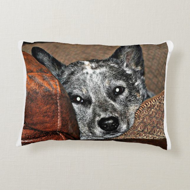 Jessie… la almohada de Tejas Heeler (Reverso)