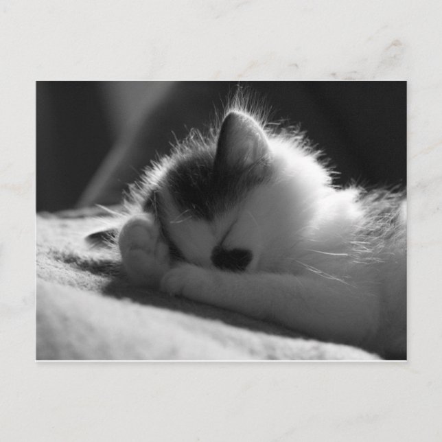 jessy jane - postal (Anverso)