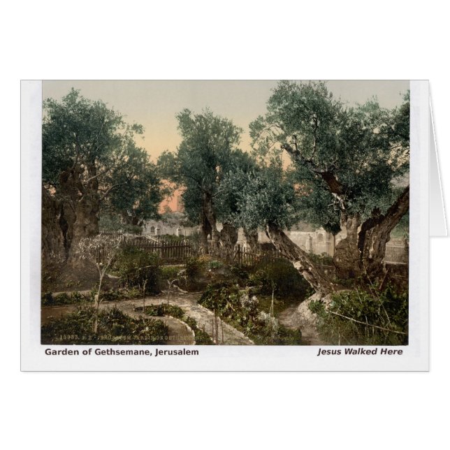 Jesús Caminó Acá: Jardín de Gethsemane (Anverso (Horizontal))