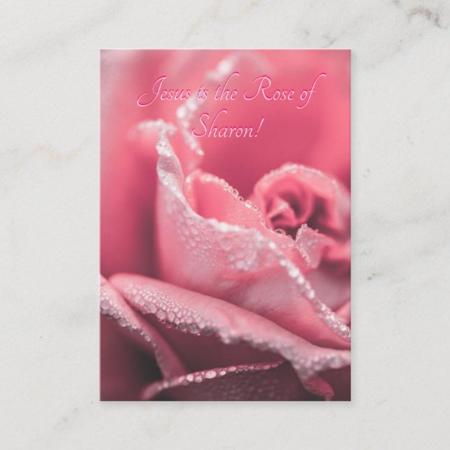 Jesús es la plantilla "El Rosa de Sharon" (Anverso)