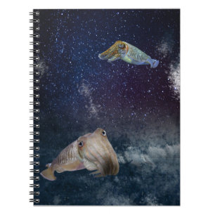 Jibias en cuaderno del espacio