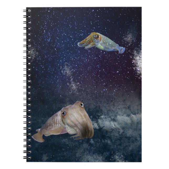 Jibias en cuaderno del espacio (Frente)