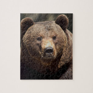 JIGSAW Puzzle 8X10 OSO GRIZADO