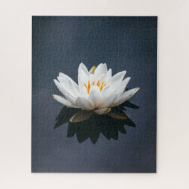 JIGSAW PUZZLE : LOTUS EN EL AGUA